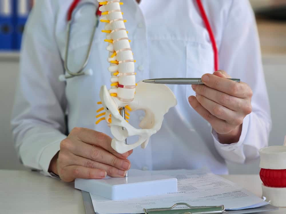 A person in a white coat with a red stethoscope around their neck is holding and pointing to a model of a human spine and pelvis using a pen, likely discussing pain management NYC techniques. Papers and another model piece are on the table.